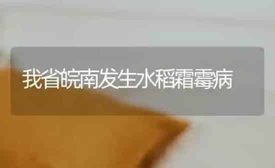 我省皖南发生水稻霜霉病 | 粮油作物种植