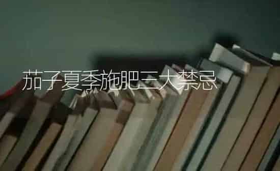 茄子夏季施肥三大禁忌 | 种植肥料施肥