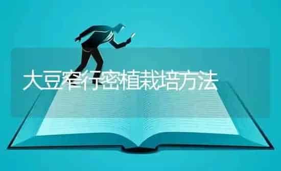 大豆窄行密植栽培方法 | 粮油作物种植