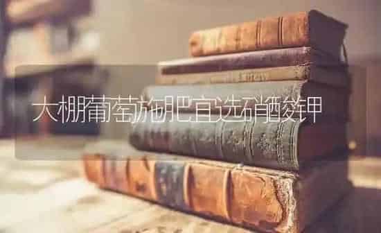 大棚葡萄施肥宜选硝酸钾 | 种植肥料施肥