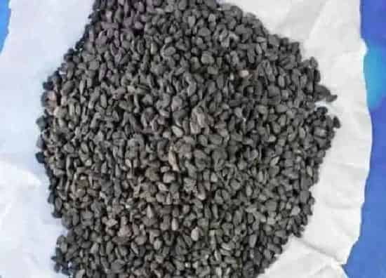 植物播种|洋葱怎么留种子