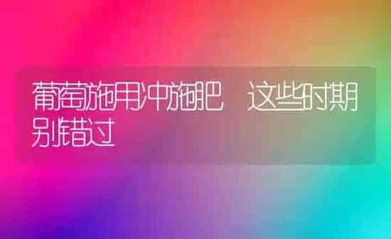 葡萄施用冲施肥 这些时期别错过 | 种植肥料施肥