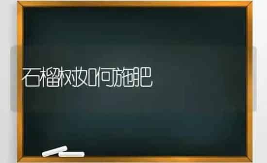 石榴树如何施肥 | 种植肥料施肥