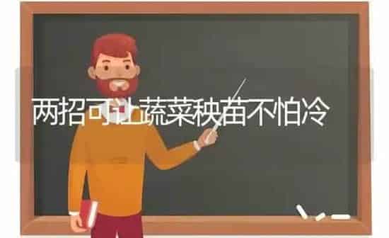 两招可让蔬菜秧苗不怕冷 | 蔬菜种植
