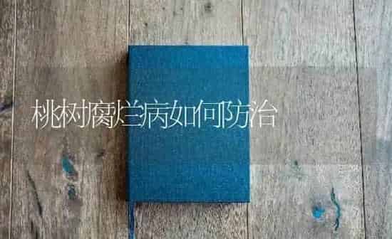 桃树腐烂病如何防治 | 瓜果种植