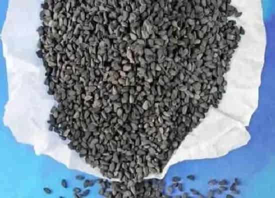 植物播种|洋葱怎么留种子