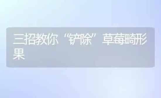 三招教你“铲除”草莓畸形果 | 瓜果种植