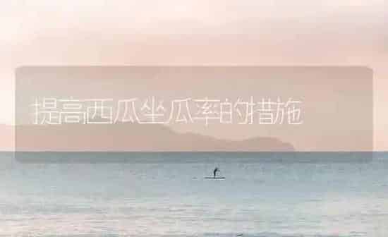 控制西瓜“疯秧”四法 | 瓜果种植