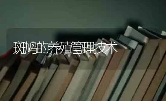 白环柄菇的栽培技术 | 食用菌种植