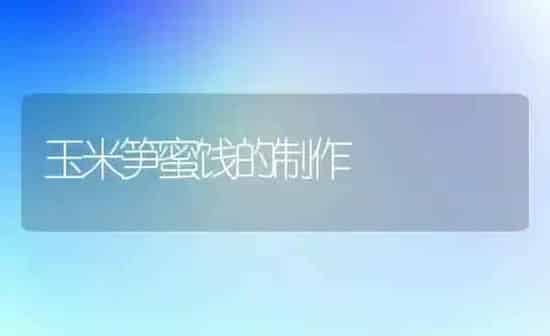 玉米笋蜜饯的制作 | 粮油作物种植