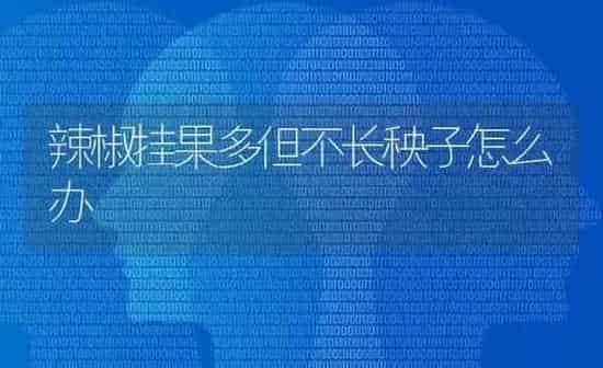 辣椒挂果多但不长秧子怎么办 | 瓜果种植