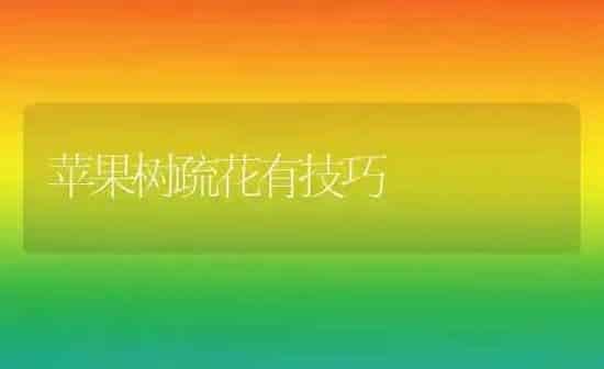 苹果树疏花有技巧 | 瓜果种植