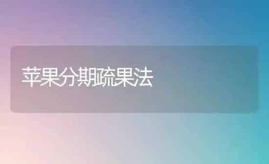 苹果分期疏果法 | 瓜果种植