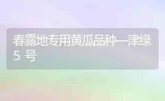 春露地专用黄瓜品种—津绿5号 | 蔬菜种植