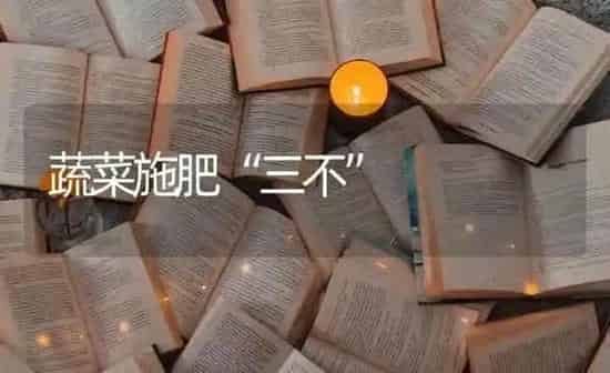 蔬菜施肥“三不” | 蔬菜种植