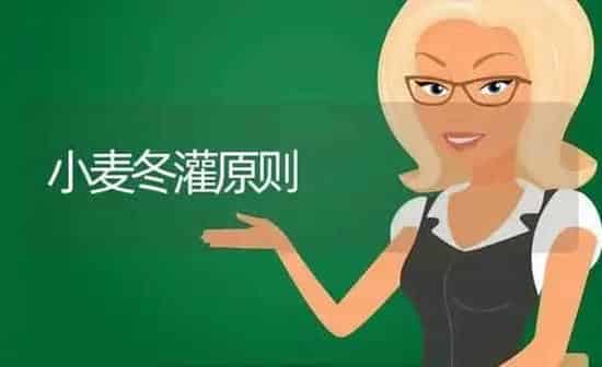 小麦冬灌原则 | 粮油作物种植