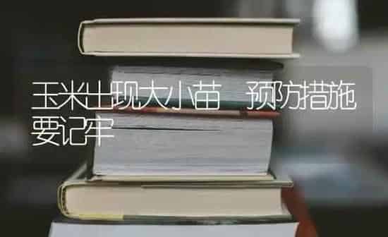 玉米出现大小苗 预防措施要记牢 | 粮油作物种植