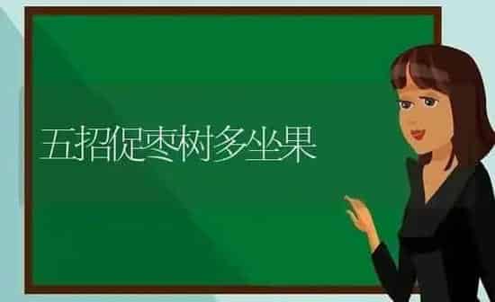 五招促枣树多坐果 | 瓜果种植