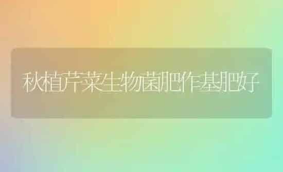 秋植芹菜生物菌肥作基肥好 | 蔬菜种植