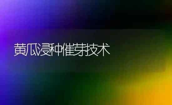 黄瓜浸种催芽技术 | 蔬菜种植