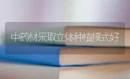 中药材采取立体种植模式好 | 药材种植