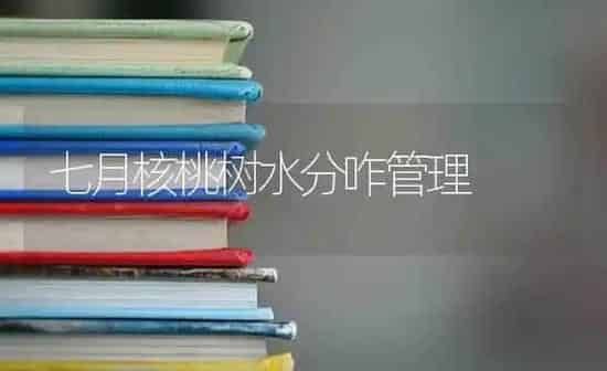 七月核桃树水分咋管理 | 瓜果种植