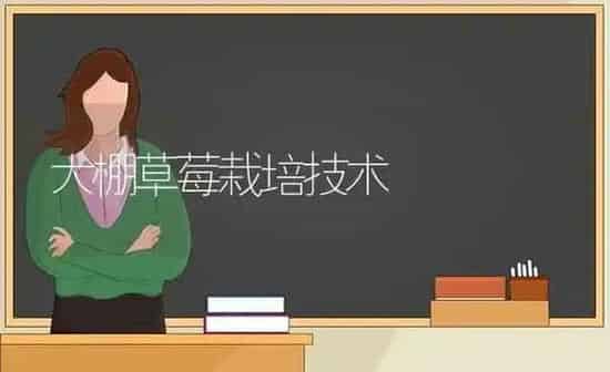 大棚草莓栽培技术 | 瓜果种植
