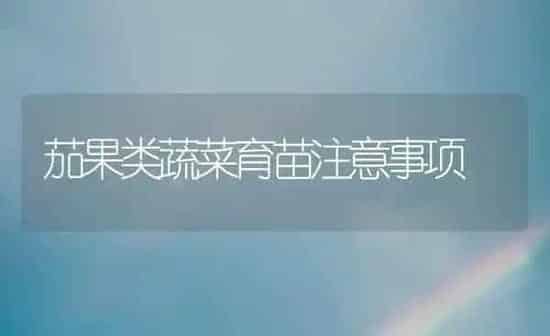 茄果类蔬菜育苗注意事项 | 蔬菜种植