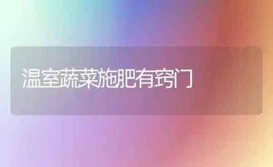温室蔬菜施肥有窍门 | 蔬菜种植