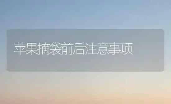 苹果摘袋前后注意事项 | 瓜果种植