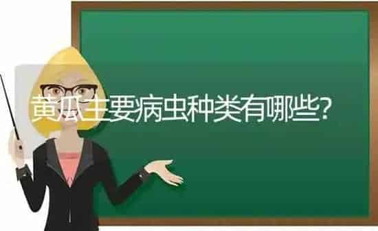 黄瓜主要病虫种类有哪些？ | 蔬菜种植