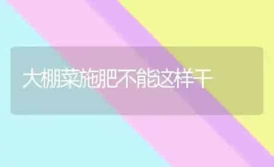 大棚菜施肥不能这样干 | 种植肥料施肥