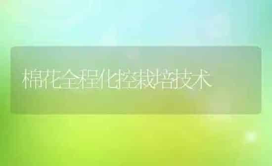 棉花全程化控栽培技术 | 粮油作物种植