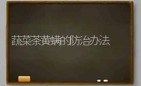 蔬菜茶黄螨的防治办法 | 蔬菜种植