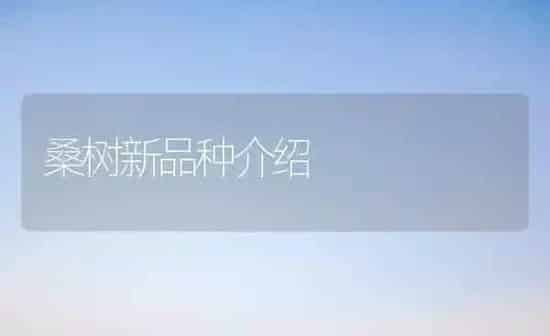 七月份要防苹果黑点病 | 瓜果种植