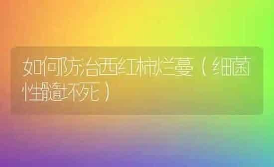如何防治西红柿烂蔓（细菌性髓坏死） | 蔬菜种植