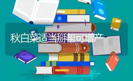 秋白菜适当掰帮可增产 | 蔬菜种植