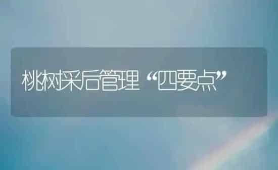 桃树采后管理“四要点” | 瓜果种植
