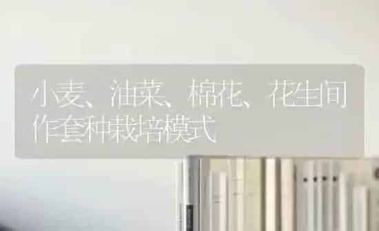 春季小麦浇水要把握好三个时期 | 粮油作物种植