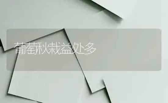 葡萄秋栽益处多 | 瓜果种植