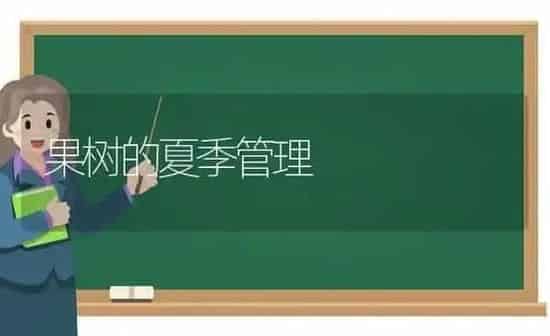果树的夏季管理 | 瓜果种植