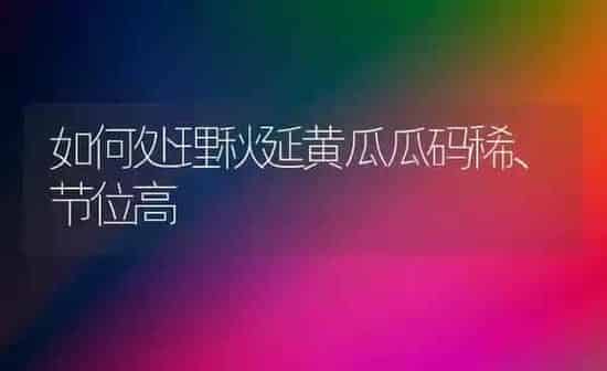 如何处理秋延黄瓜瓜码稀、节位高 | 蔬菜种植