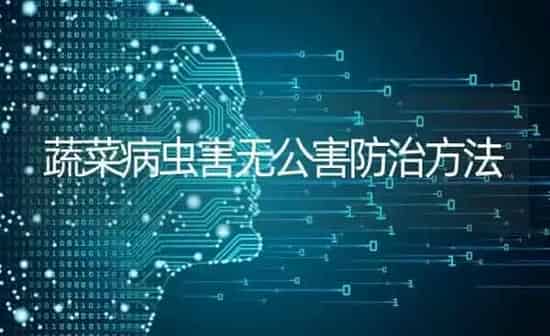 蔬菜病虫害无公害防治方法 | 蔬菜种植