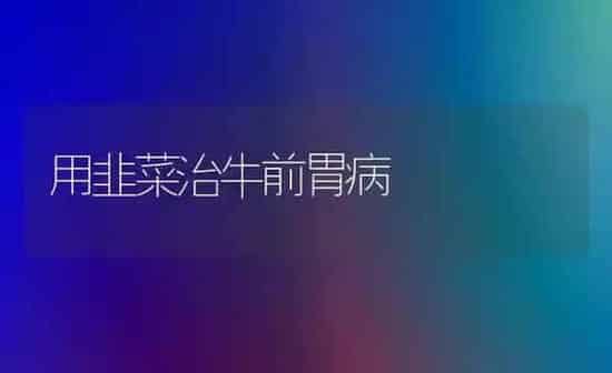 用韭菜治牛前胃病 | 蔬菜种植