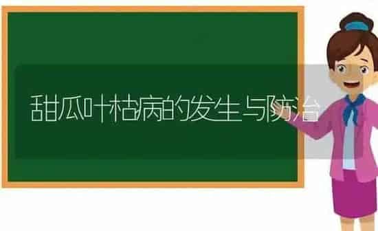 甜瓜叶枯病的发生与防治 | 瓜果种植