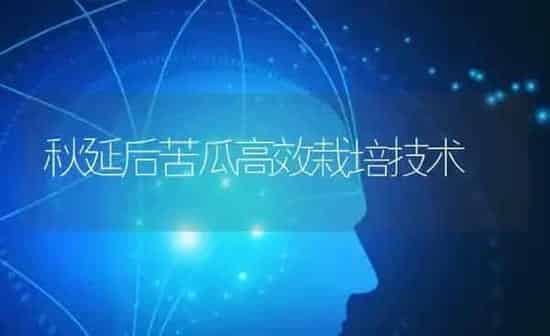 秋延后苦瓜高效栽培技术 | 蔬菜种植