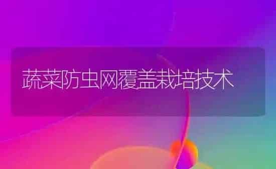 蔬菜防虫网覆盖栽培技术 | 蔬菜种植