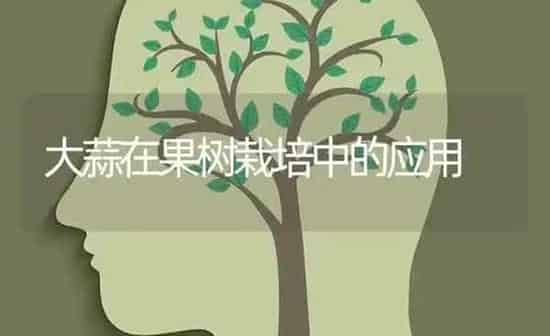 大蒜在果树栽培中的应用 | 瓜果种植