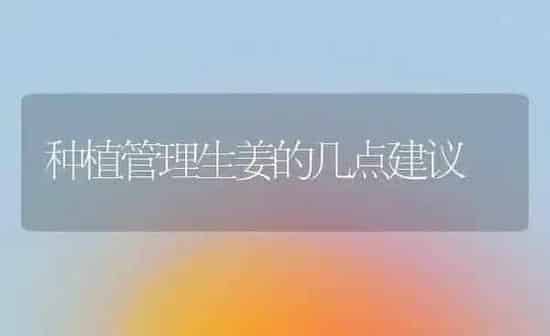 种植管理生姜的几点建议 | 植物种植百科