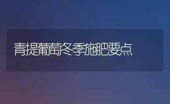 青提葡萄冬季施肥要点 | 种植肥料施肥